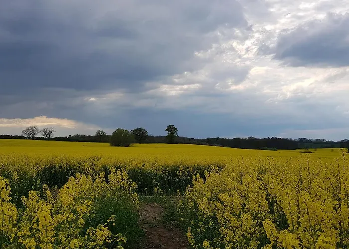 شقة In Ostseenaehe *