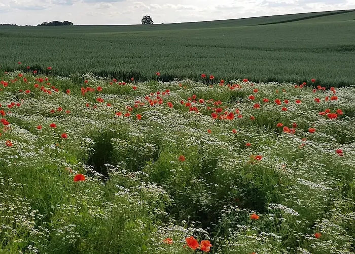 In Ostseenaehe غرفسمولن